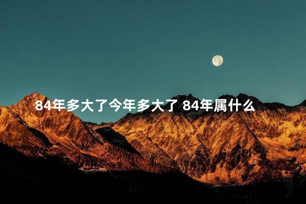 84年多大了今年多大了 84年属什么的生肖